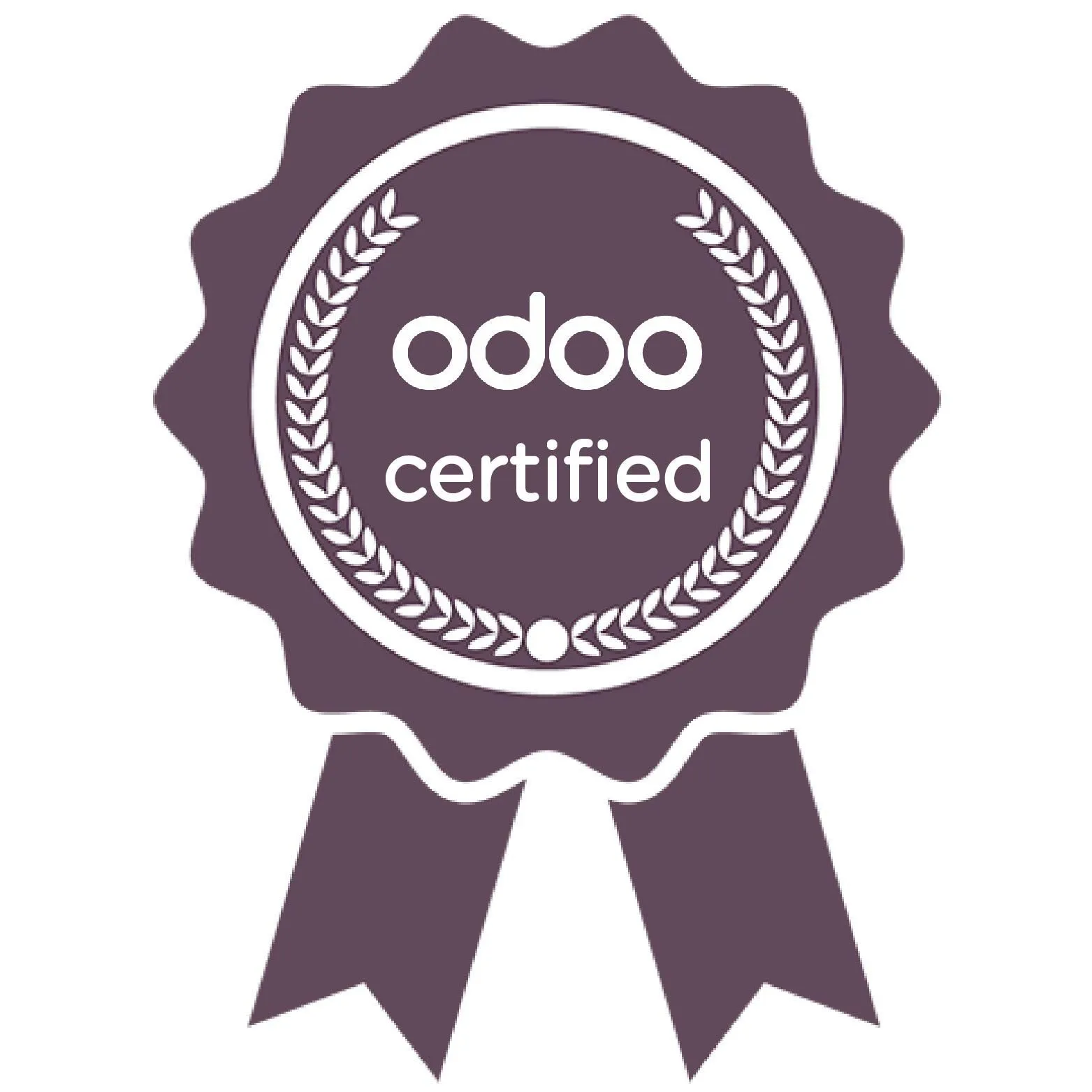 Odoo Certified